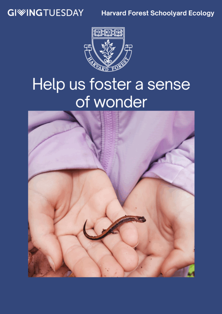 Image shows a picture of a student's hands holding a salamander with a blue backdrop and Giving Tuesday logo.