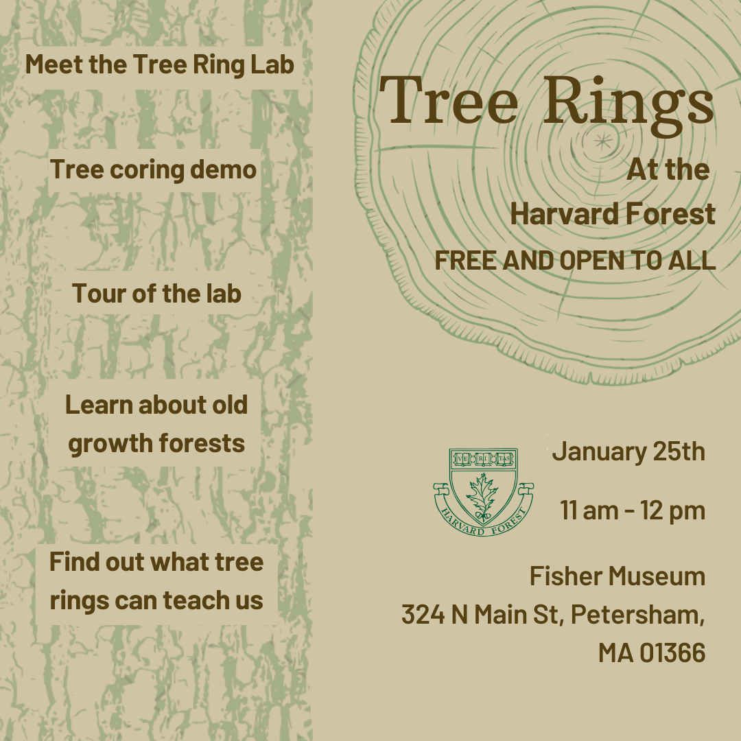 Jan 25: Join us for all things tree rings! - Harvard Forest