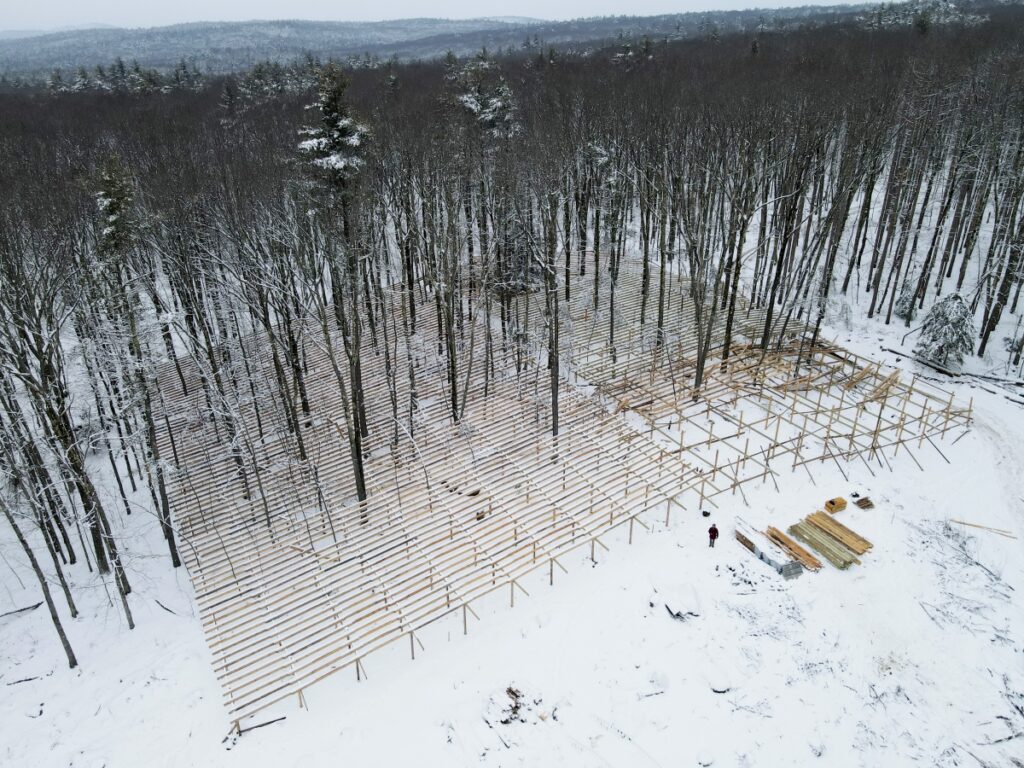 A structure of lumber grids extends from the edge of the forest to between the trees