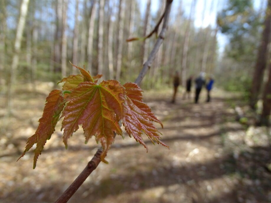 Registration Open for Schoolyard Ecology Spring Workshop: April 5th, 2024