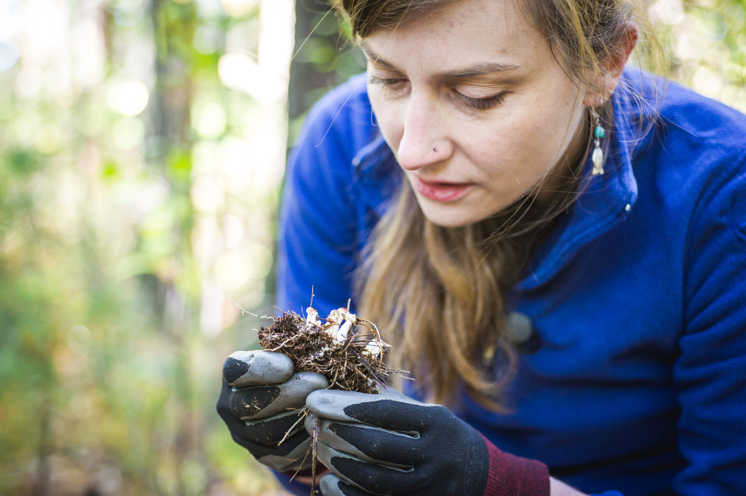 Bullard Spotlight: Exploring Harvard Forest's Ectomycorrhizae with Jenny Bhatnagar