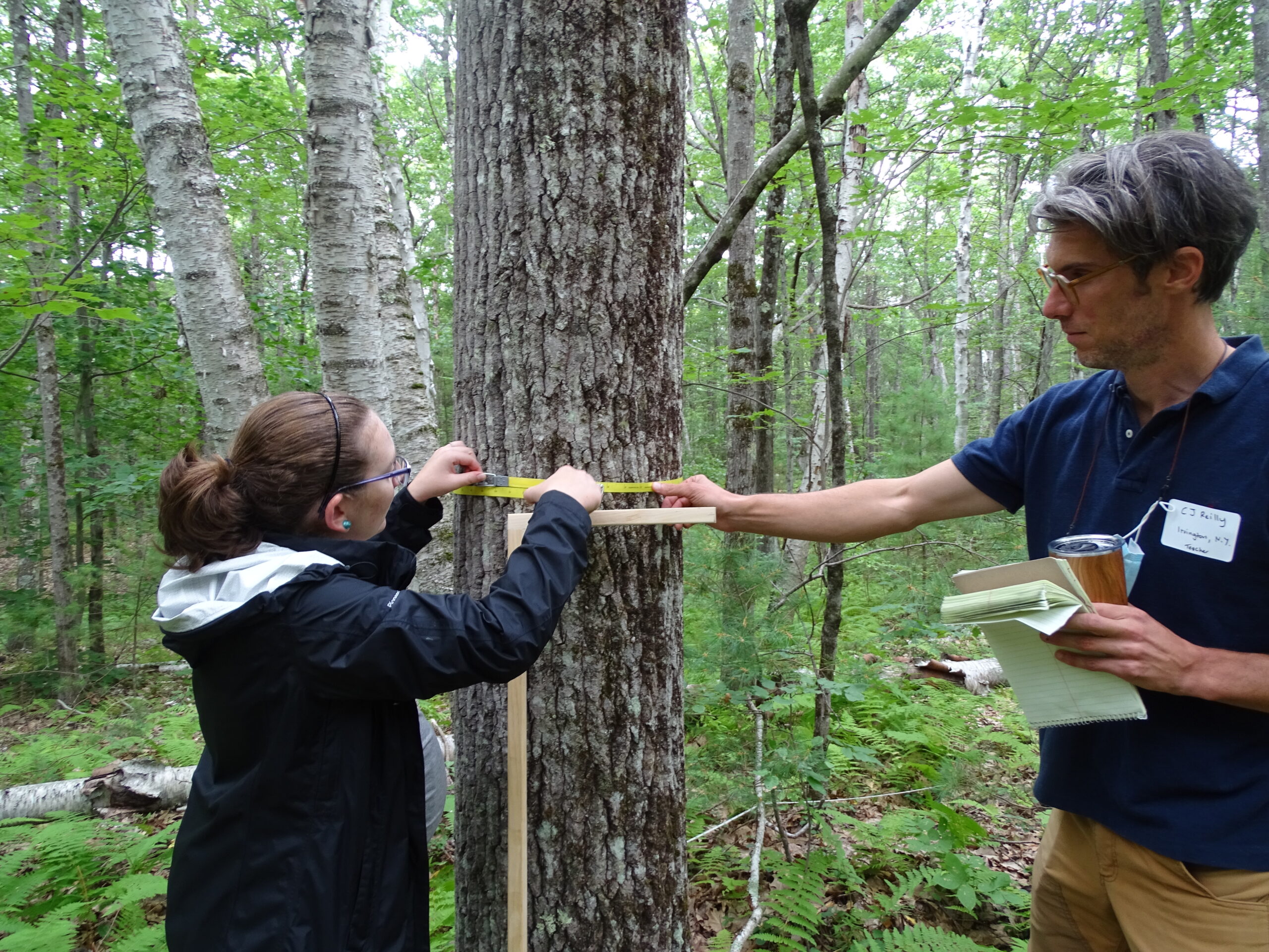 Schoolyard Ecology Summer Institute for Educators: August 12th-13th