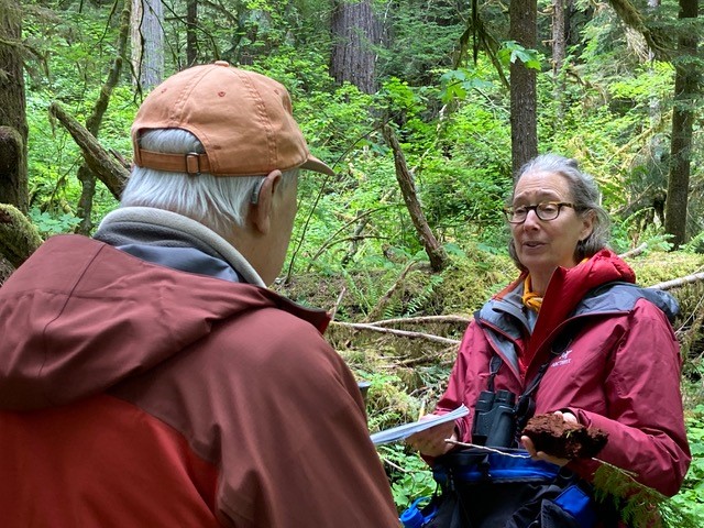 Bullard Spotlight: Lynda Mapes on the Cutting of our First Forests