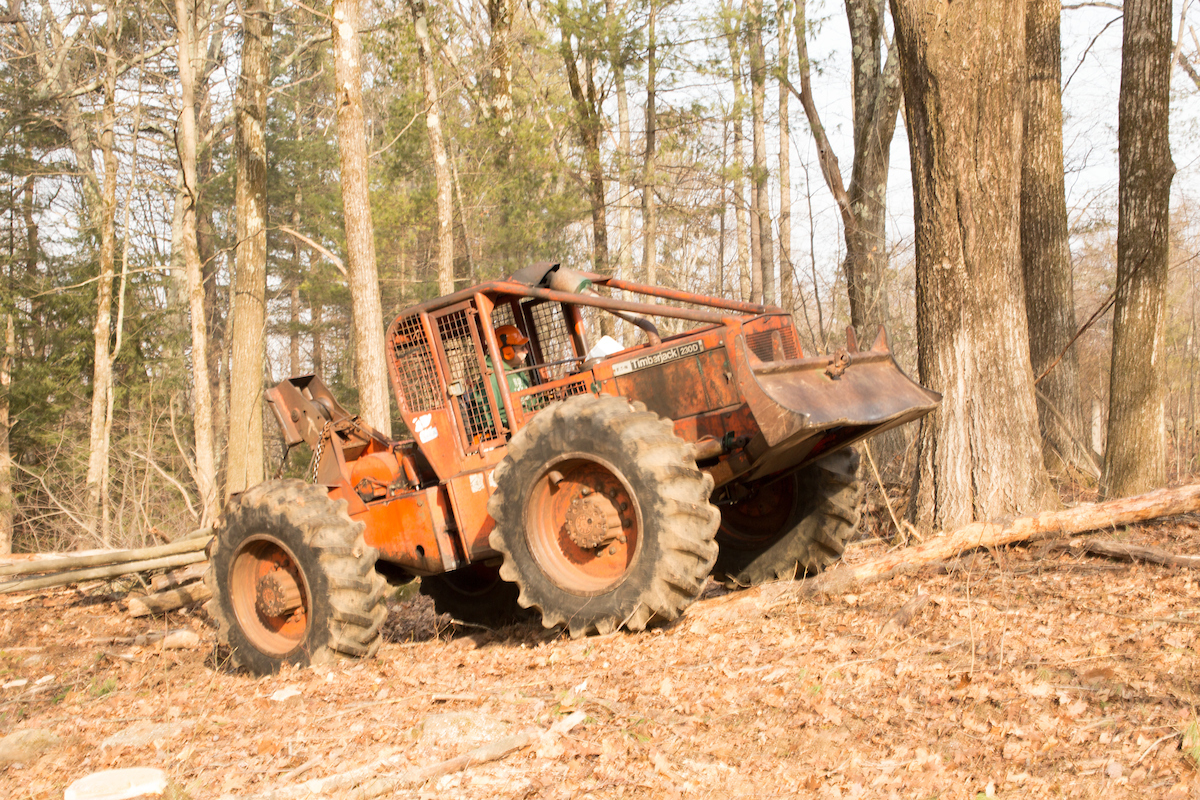 Harvard Forest Researchers Contribute to Recent EEA “Forest as Climate Solutions” Report