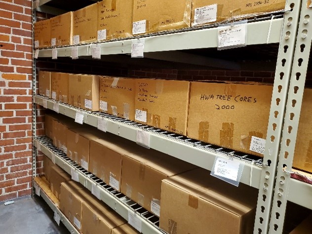 Rows of labeled cardboard boxes on steel shelving