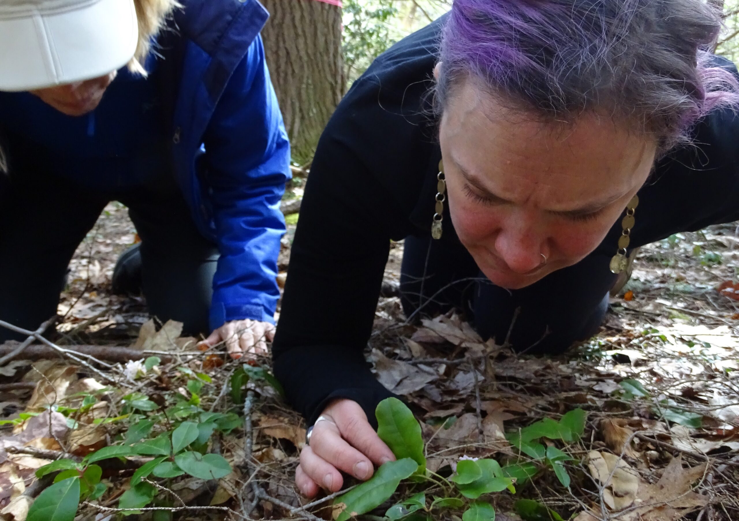 Schoolyard Ecology Summer Institute for Educators: August 22-23