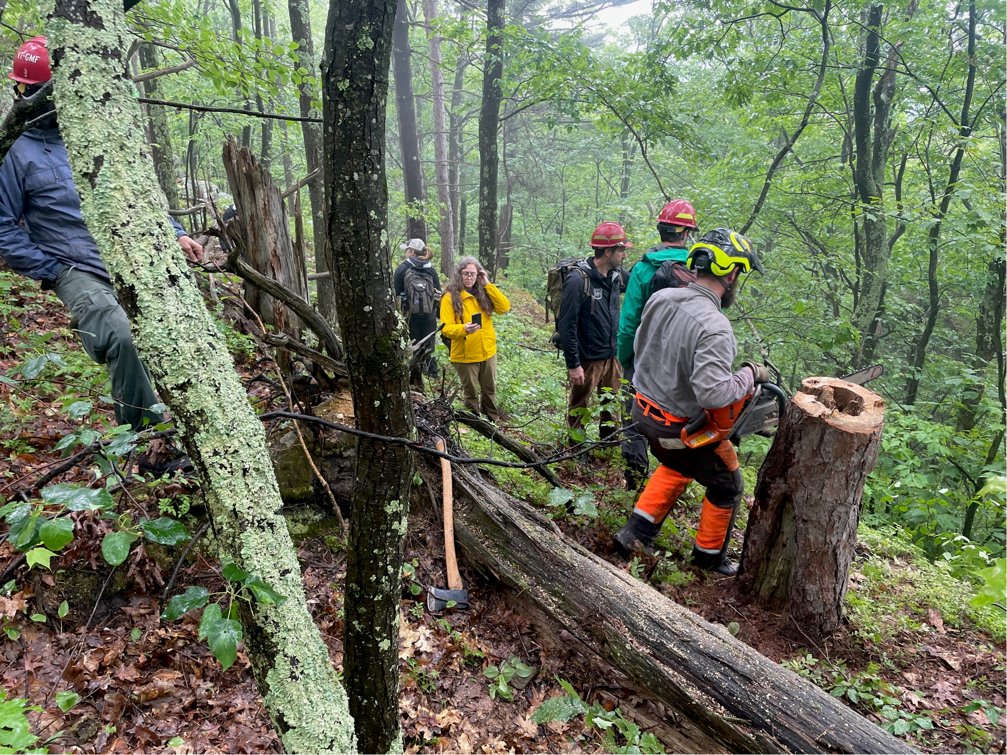 Bullard Spotlight: Forest Fires in the Eastern U.S. with Mike Stambaugh