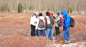 wintersession students crowd around a wetland sample in winter