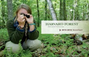 A student kneels among ferns and examines an ant with a magnifying glass