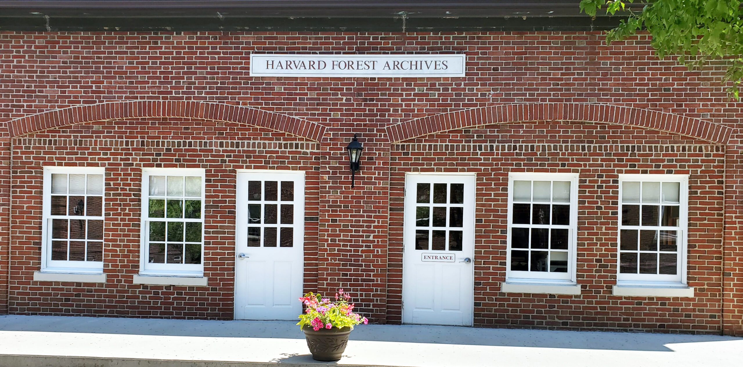 A brick building with a sign that reads Harvard Forest Archives