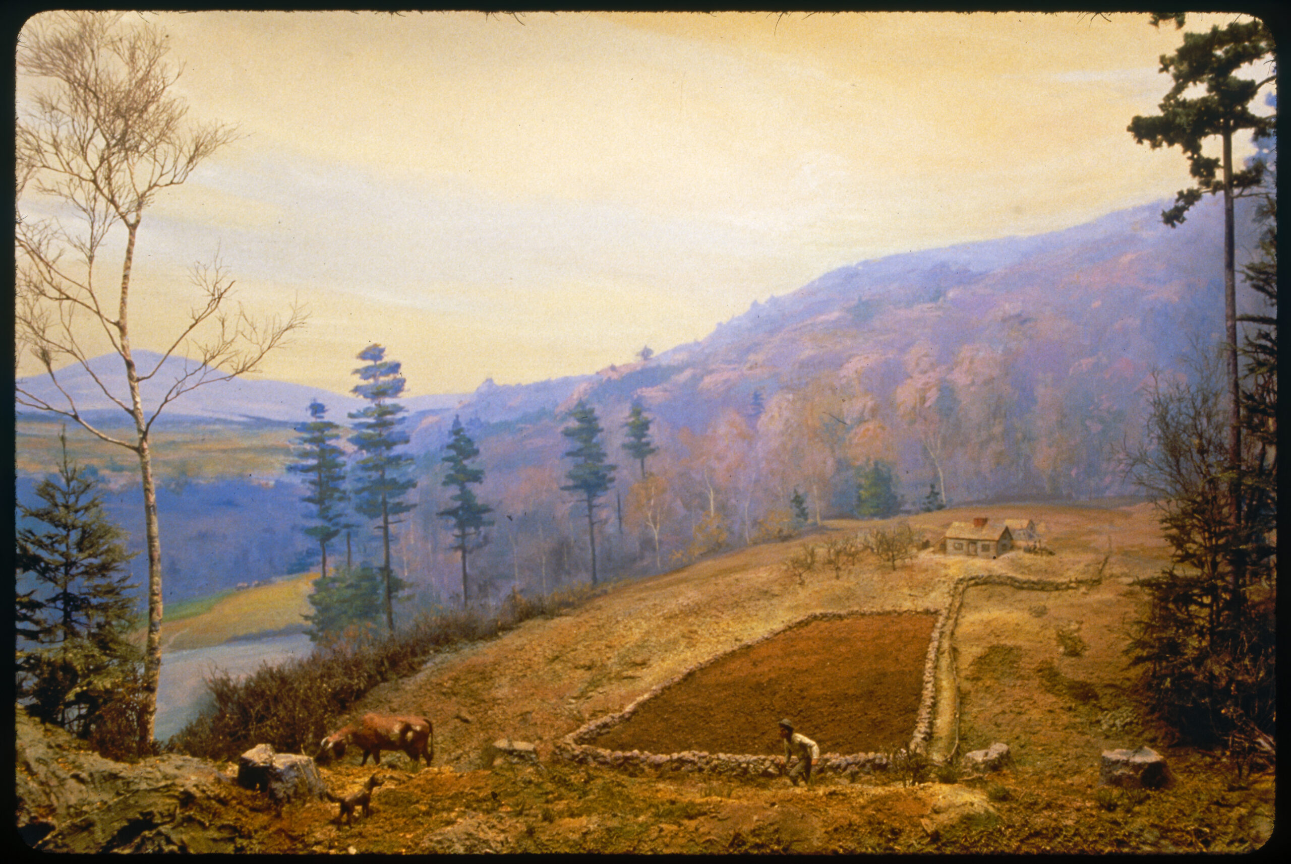 Diorama scene of a small farmhouse, a field surrounded by a stone wall, a few stumps of large trees, a man, a dog and a cow