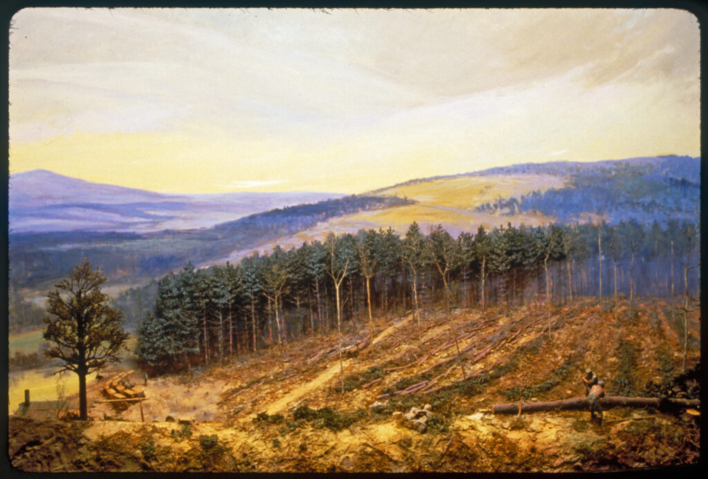 Diorama scene of white pine logs lying on a ground with standing white pines in the background. Two men saw a fallen log with a two-person saw.