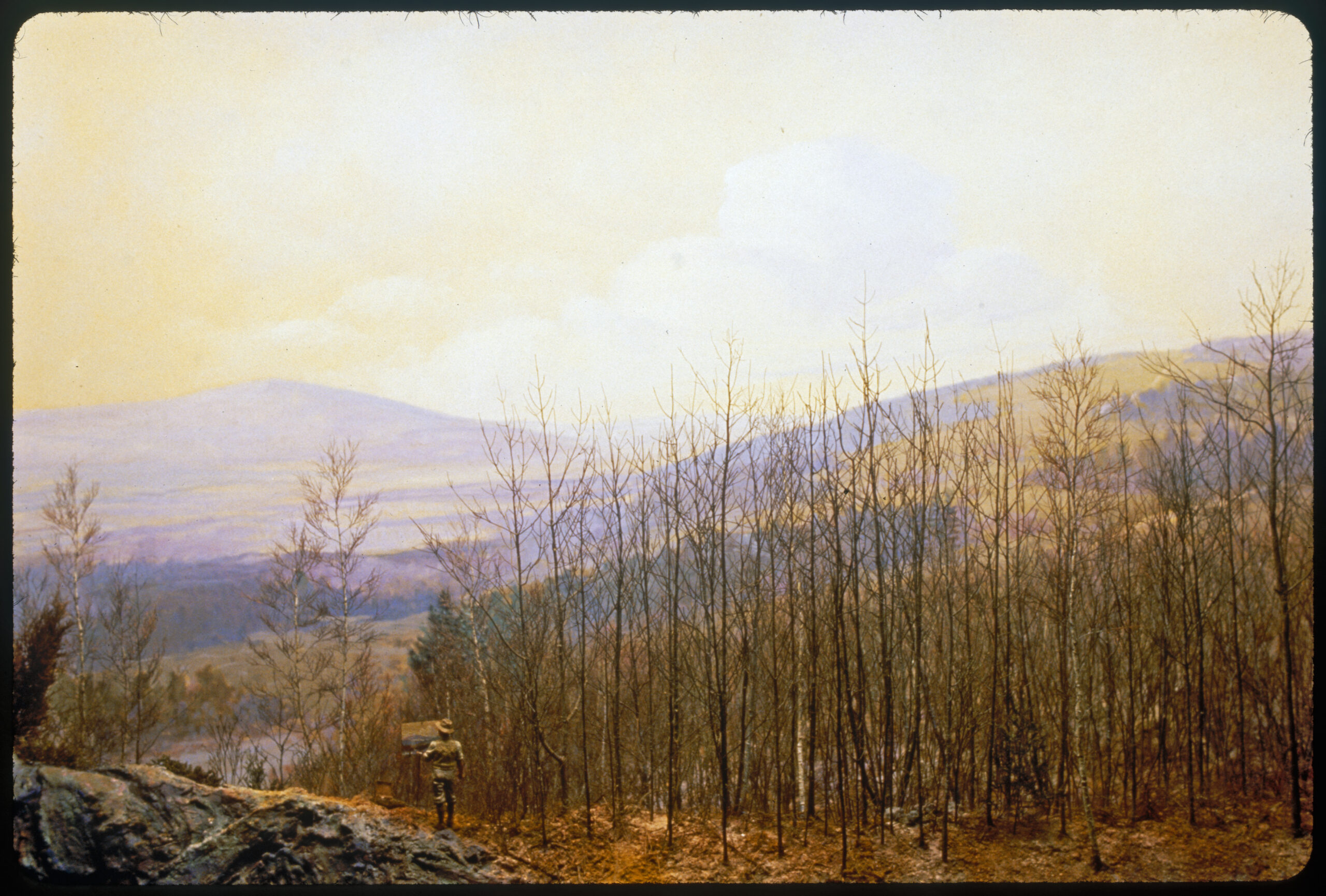 Diorama scene of a hardwood stand with an artist painting a view of the hills and valley.