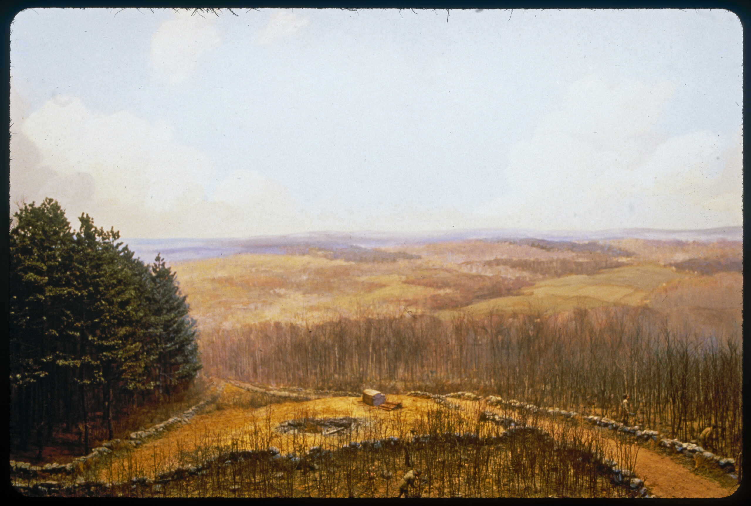 Diorama scene of forestry workers using machetes to thin a young hardwood stand