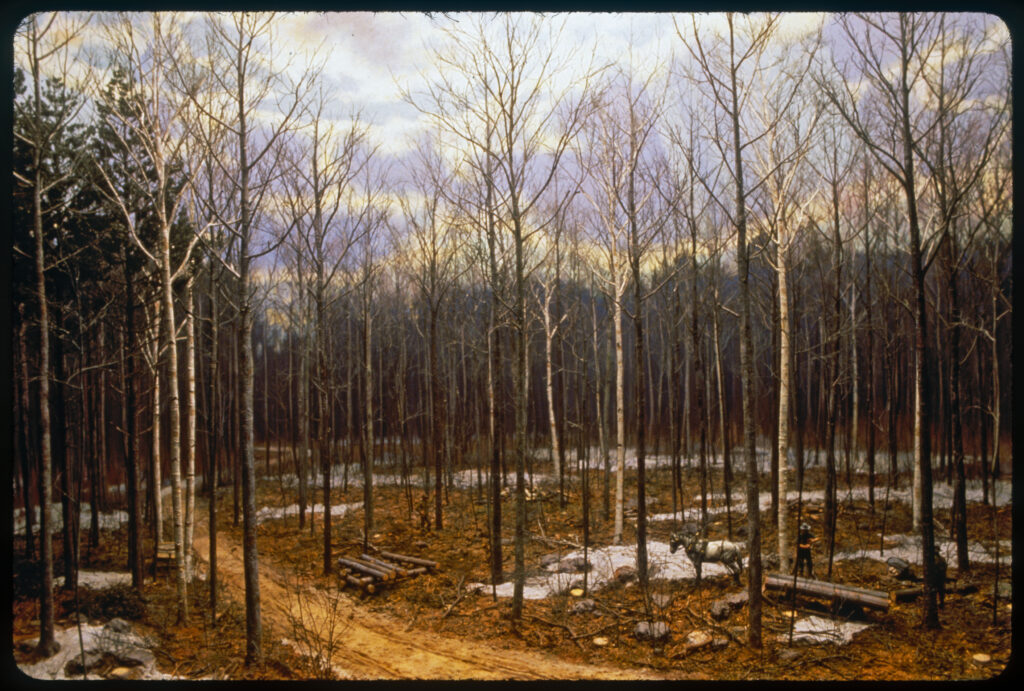 Diorama scene of a horse hitched to a sled and forestry workers loading logs onto the sled