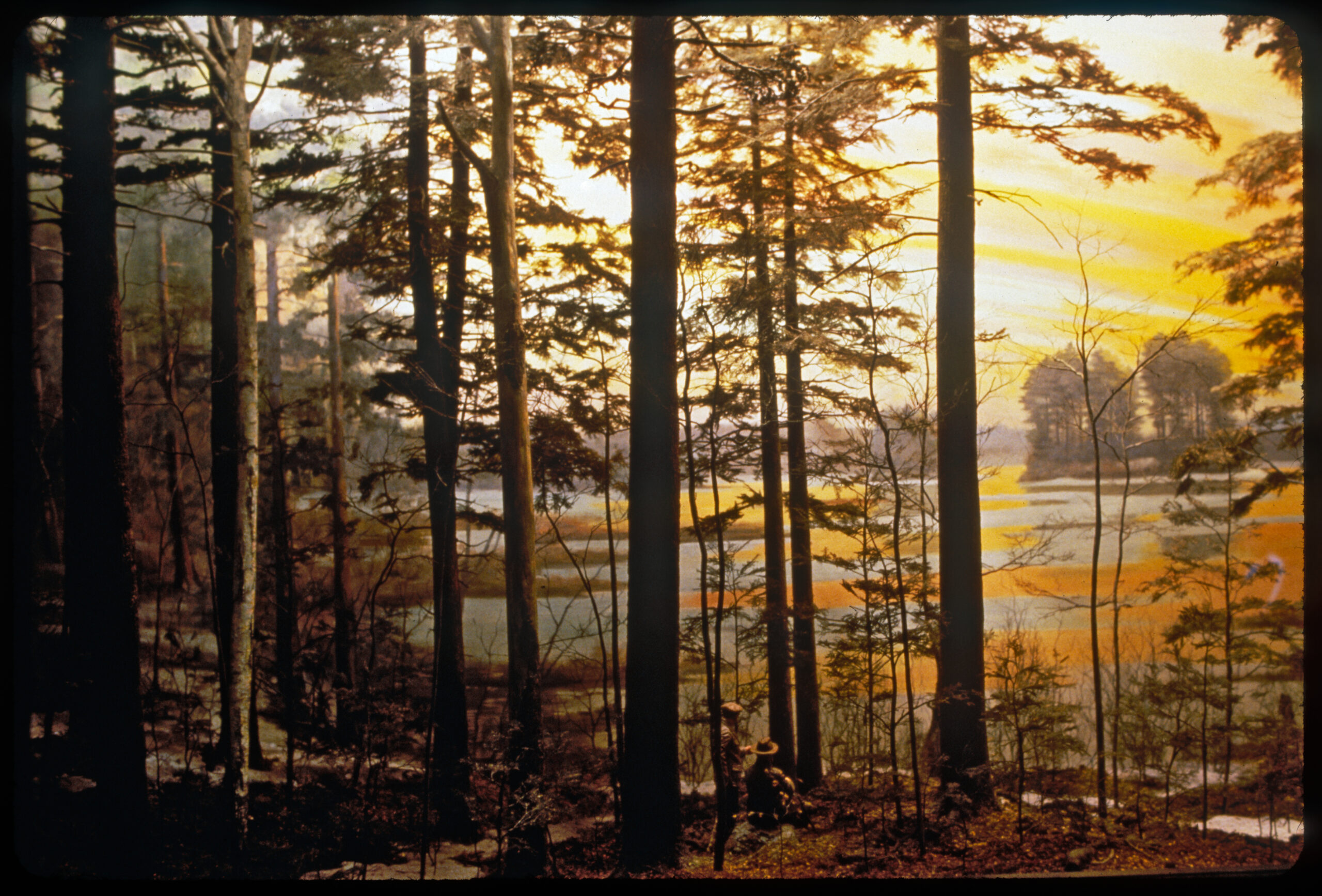 Diorama scene of two men in a stand of old growth trees along the shore of a pond