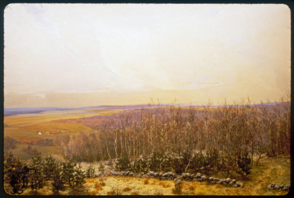 Diorama scene with two forestry workers inspecting young white pine trees. A stone wall runs through the foreground with young white pines and gray birch trees behind it.