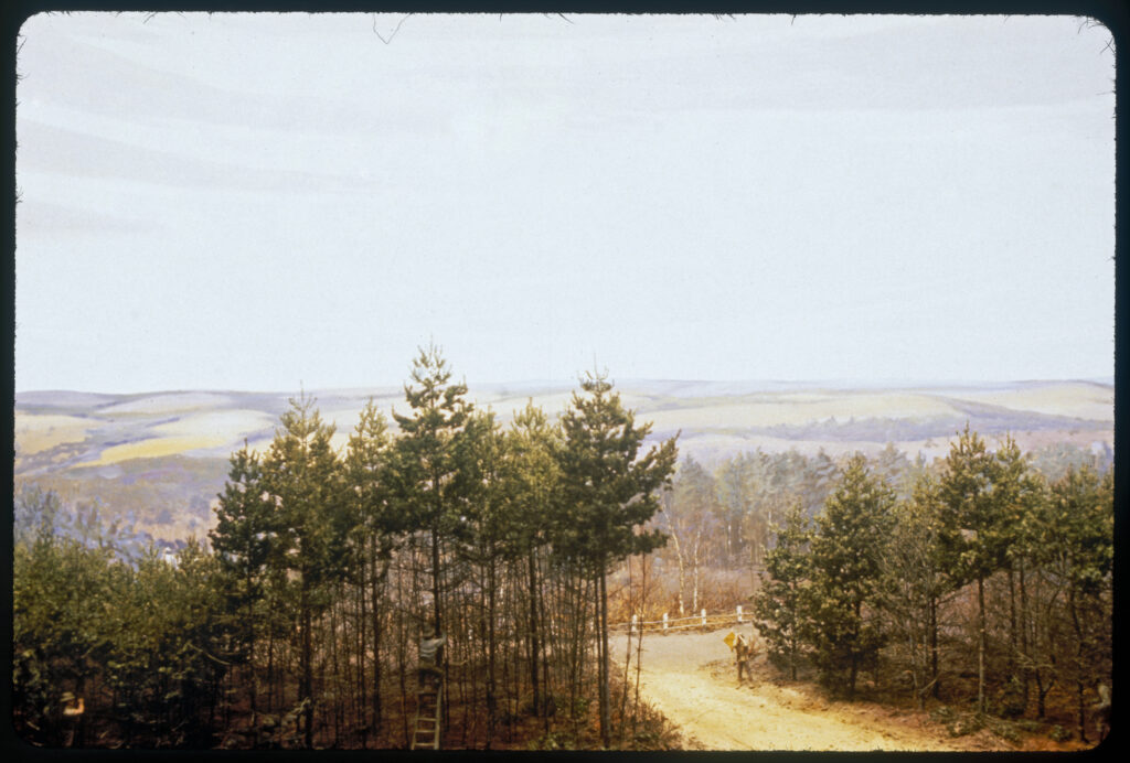Diorama scene of forestry workers pruning white pine trees growing along a roadside.