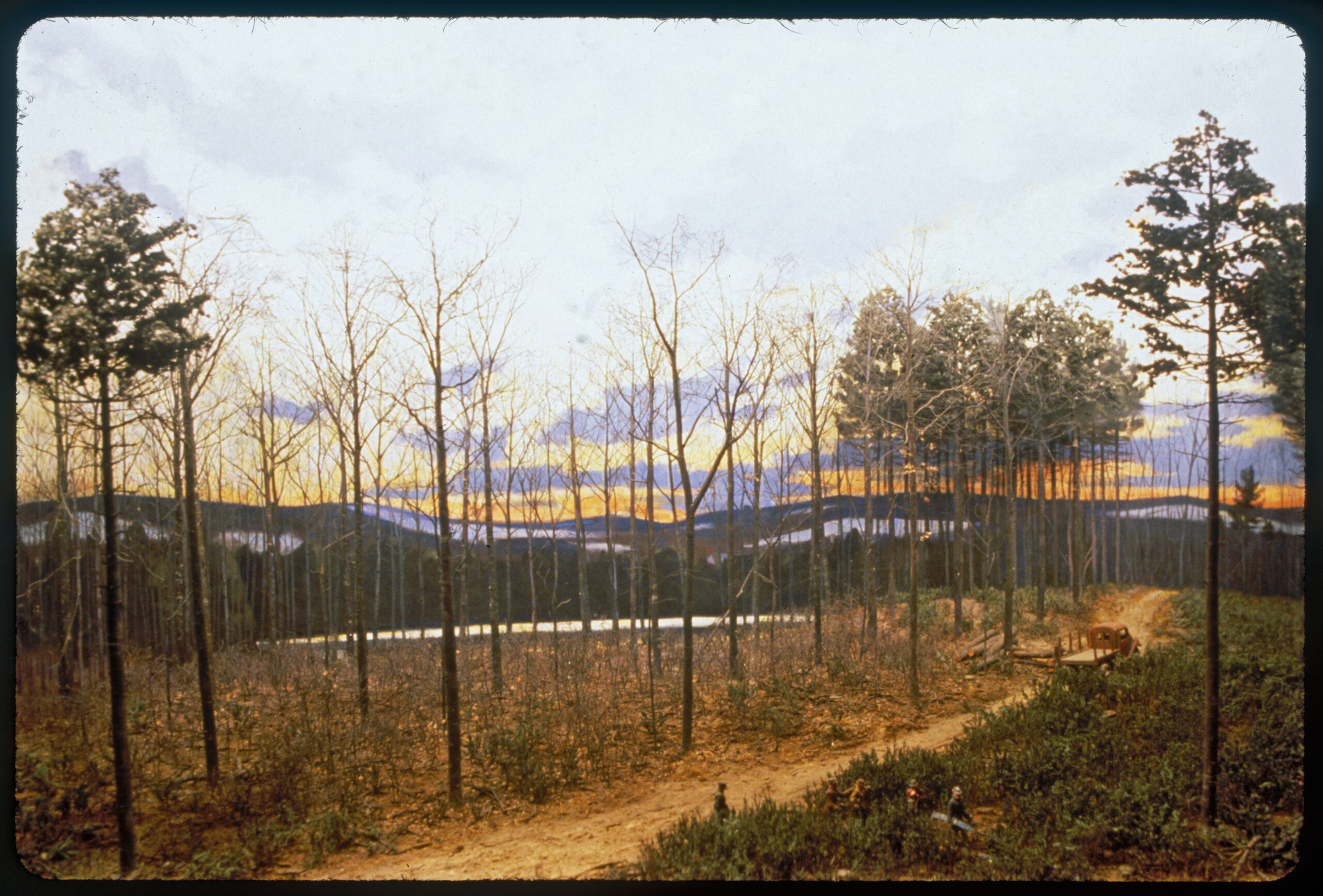 Diorama scene of a woods road running through a forest with young and old trees. A flatbed truck is parked on the road and forestry workers are carrying a saw and other equipment