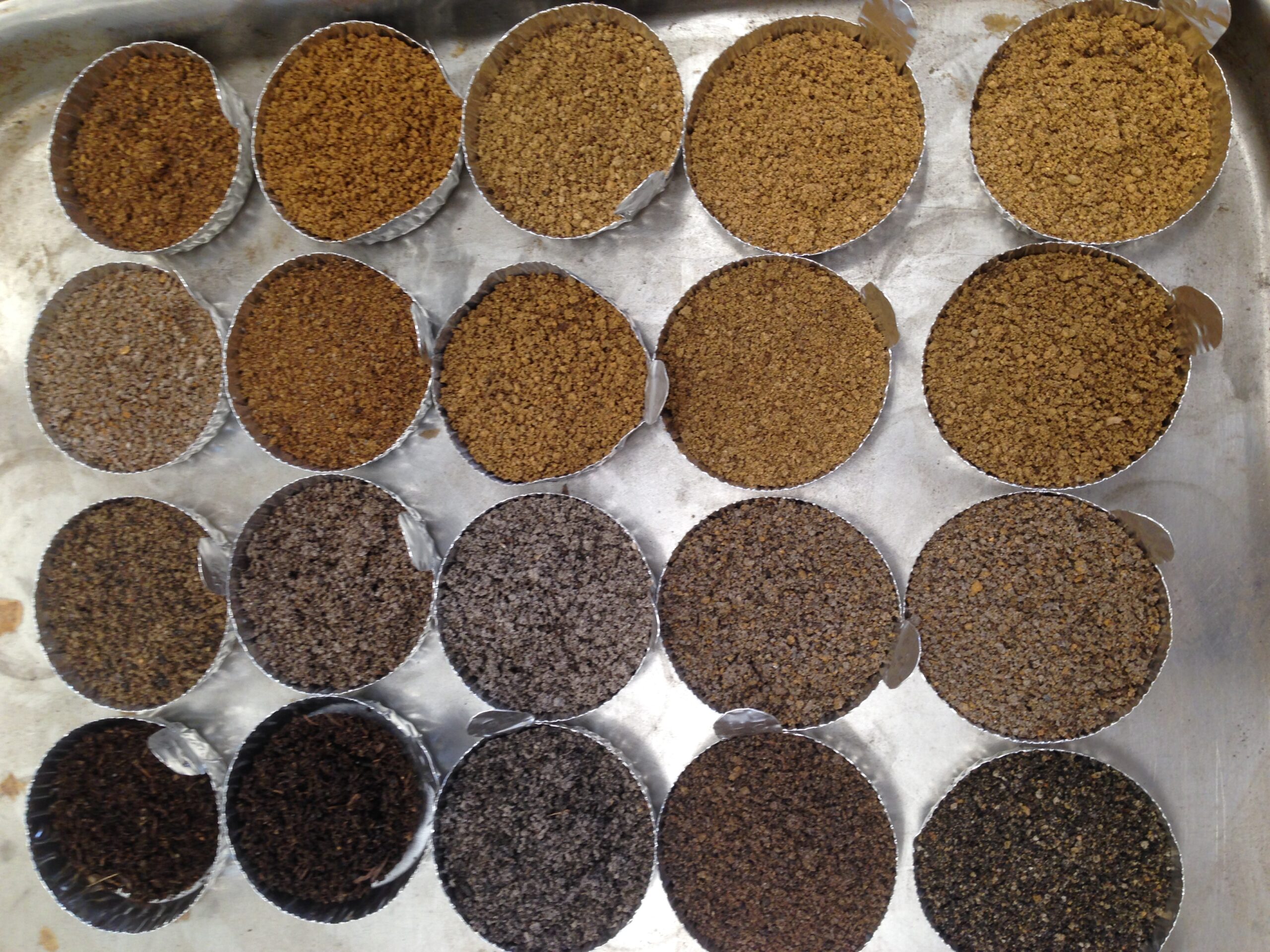 An array of aluminum cups holding soil samples of varying shades of brown