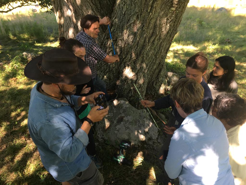 Primetime Documentary Leverages Harvard Forest Expertise
