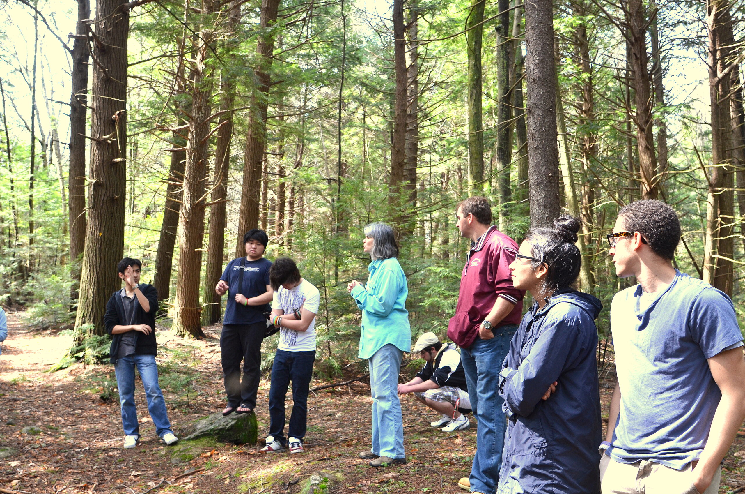 In the middle of a hemlock forest, a group of students listening to their tour leader
