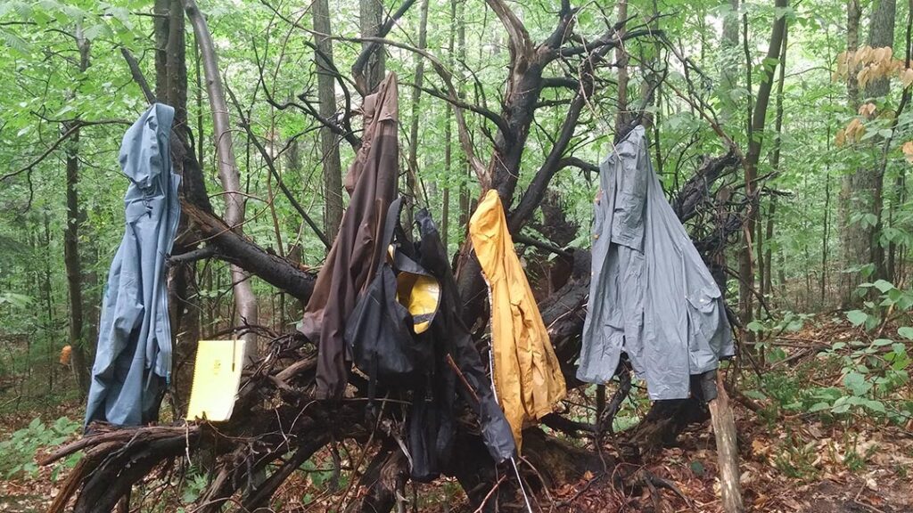 Five jackets hang from the roots of an uprooted tree in the middle of the woods