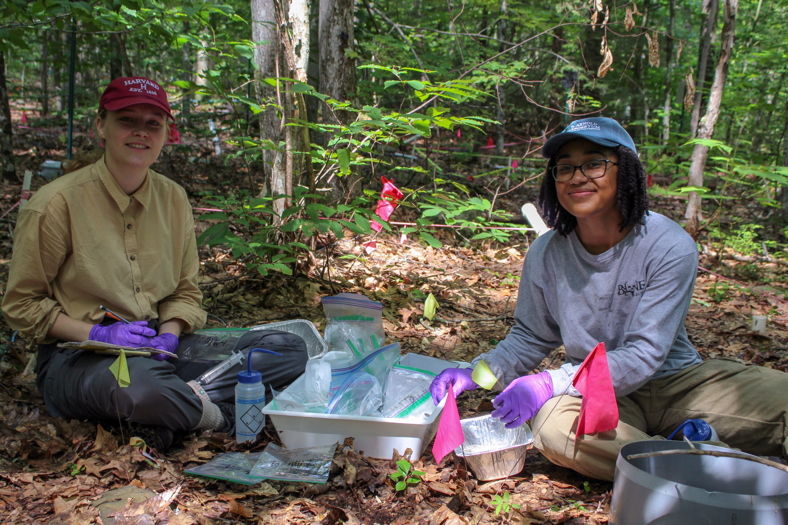 Two students with research equipment surrounded by trees, foliage and pink research marking flags