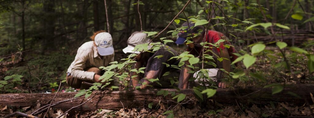 Three researchers crouch on the forest floor and examine a decaying fallen tree