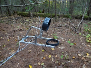 Scientific equipment sitting on a the forest floor which is littered with pine needles and hardwood leaves