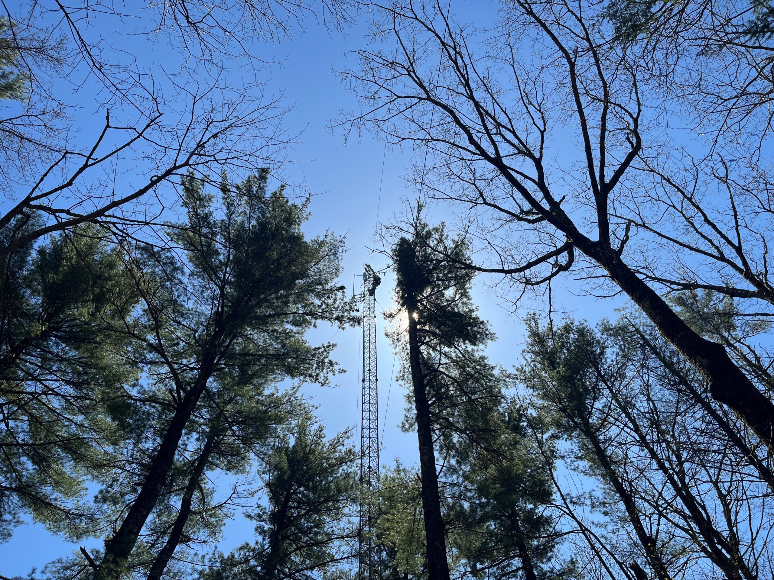 Expanding Digital Access in the Woods: Wireless Upgrades at the Harvard Forest
