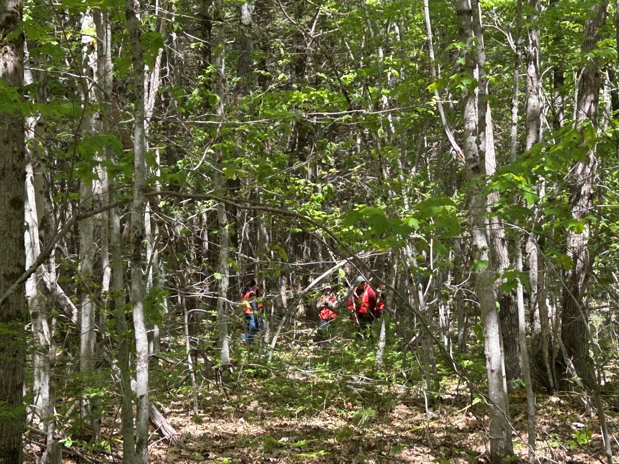 Tracking Forest Change in Harvard Forest’s “Megaplot” 