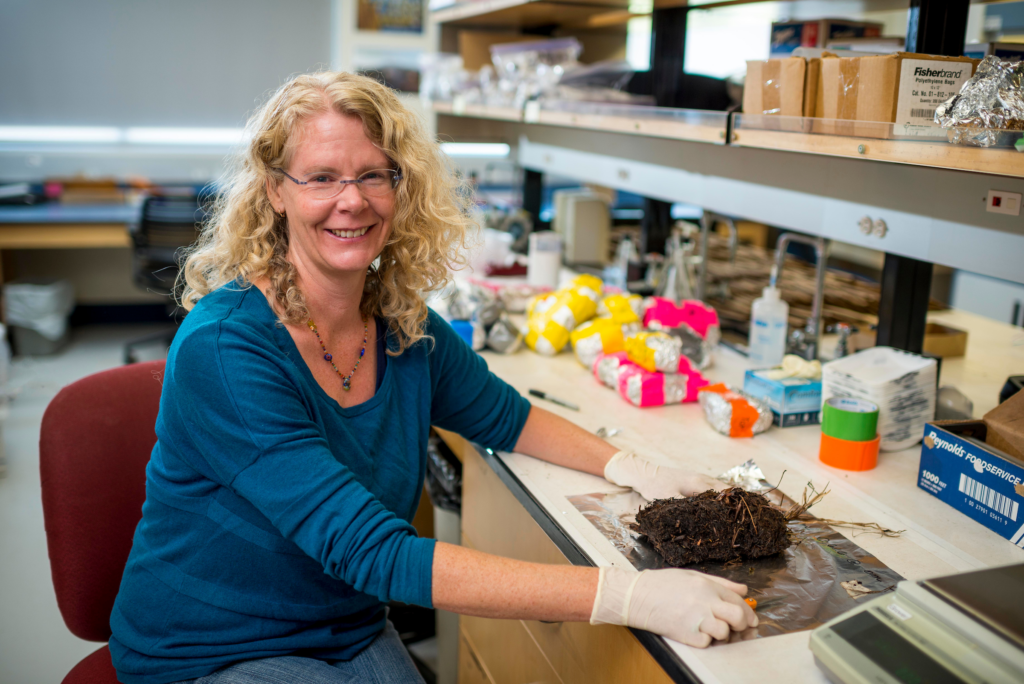Michelle Mack smiles at a lab bench, wearing gloves and showing a sample of soil and roots.