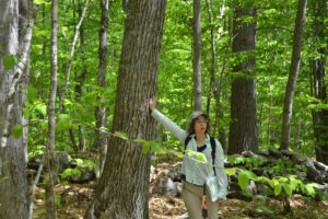 Audrey pauses from speaking to touch the trunk of a large oak tree in the forest in summer.