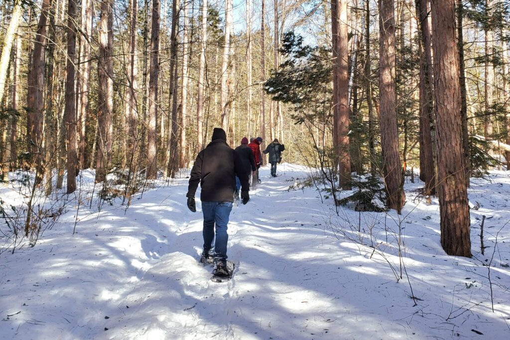 A group of snowshoers trek up a snow-covered trail lined with trees.
