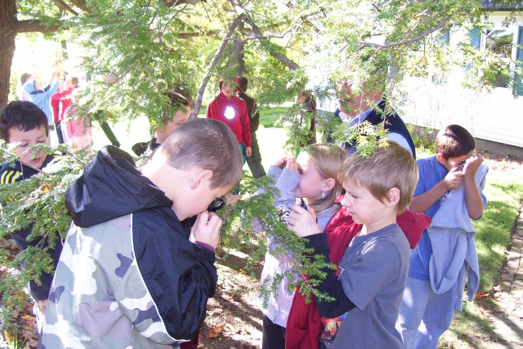 Elementary school students examine a hemlock twigs with magnifying glasses.