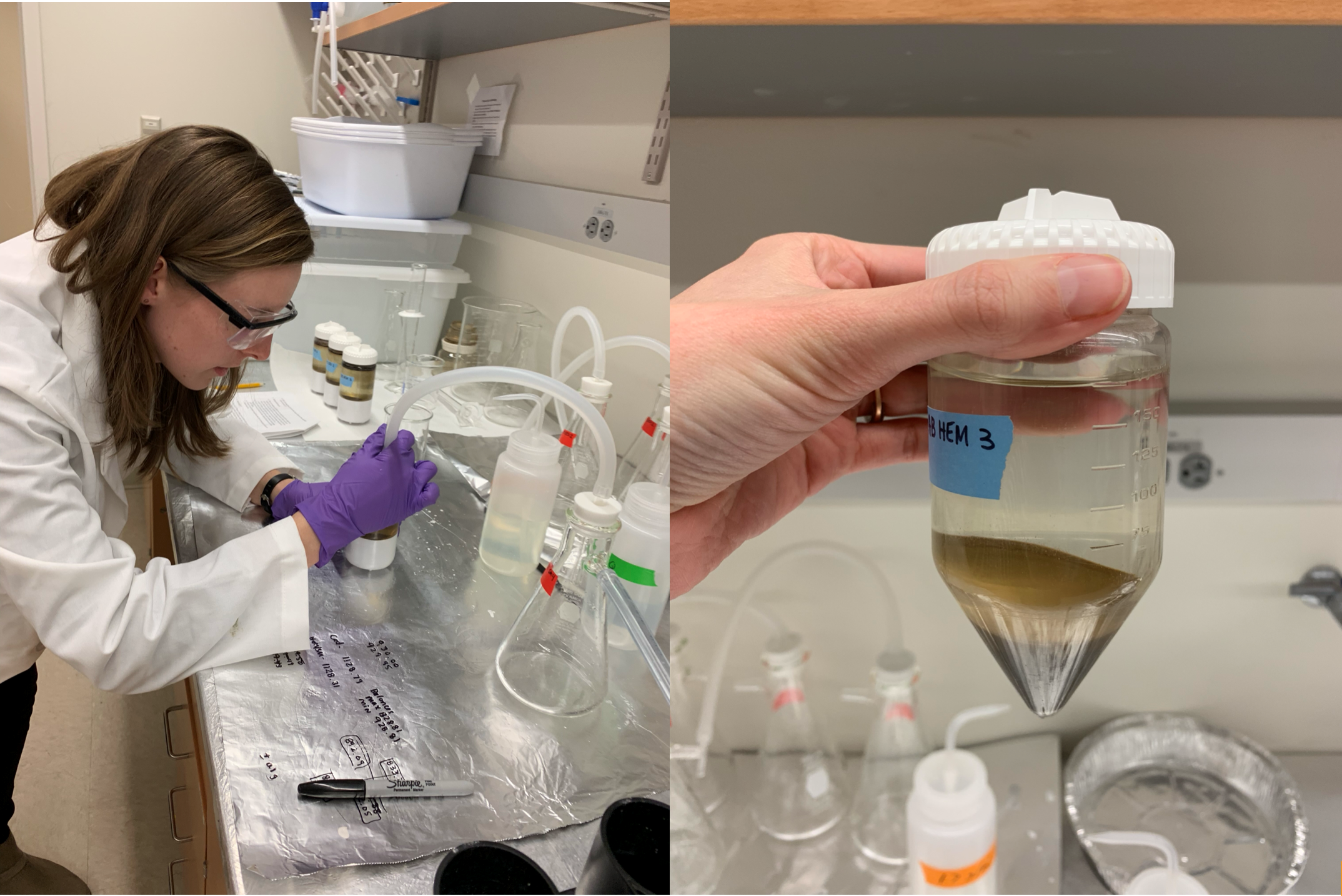 Dr. Lang monitoring soils in the lab