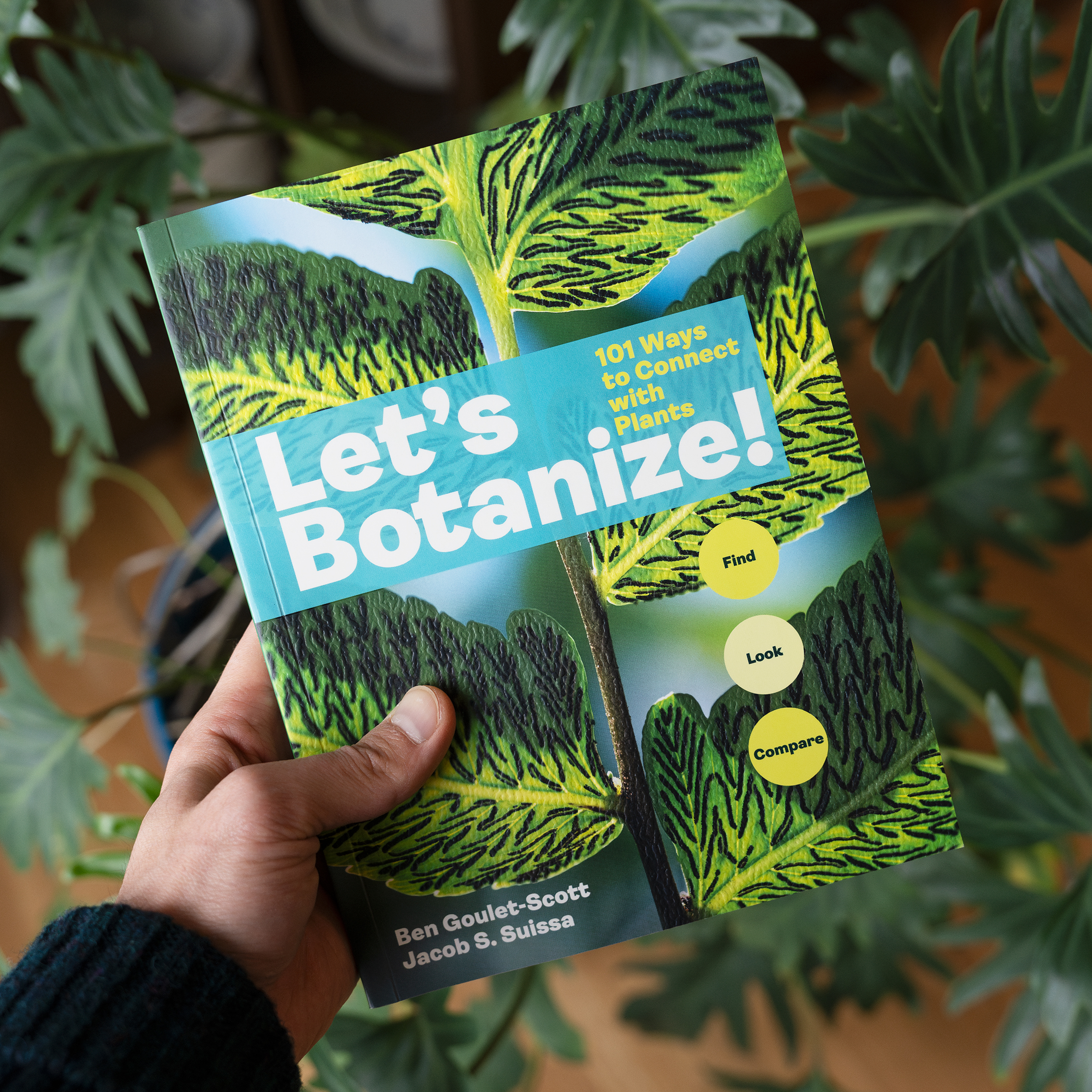 cover of Let's Botanize book