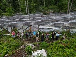 A group of students and scientists hold their arms up in front of a large experiment of wooden scaffolding and plastic in a clearing in the forest