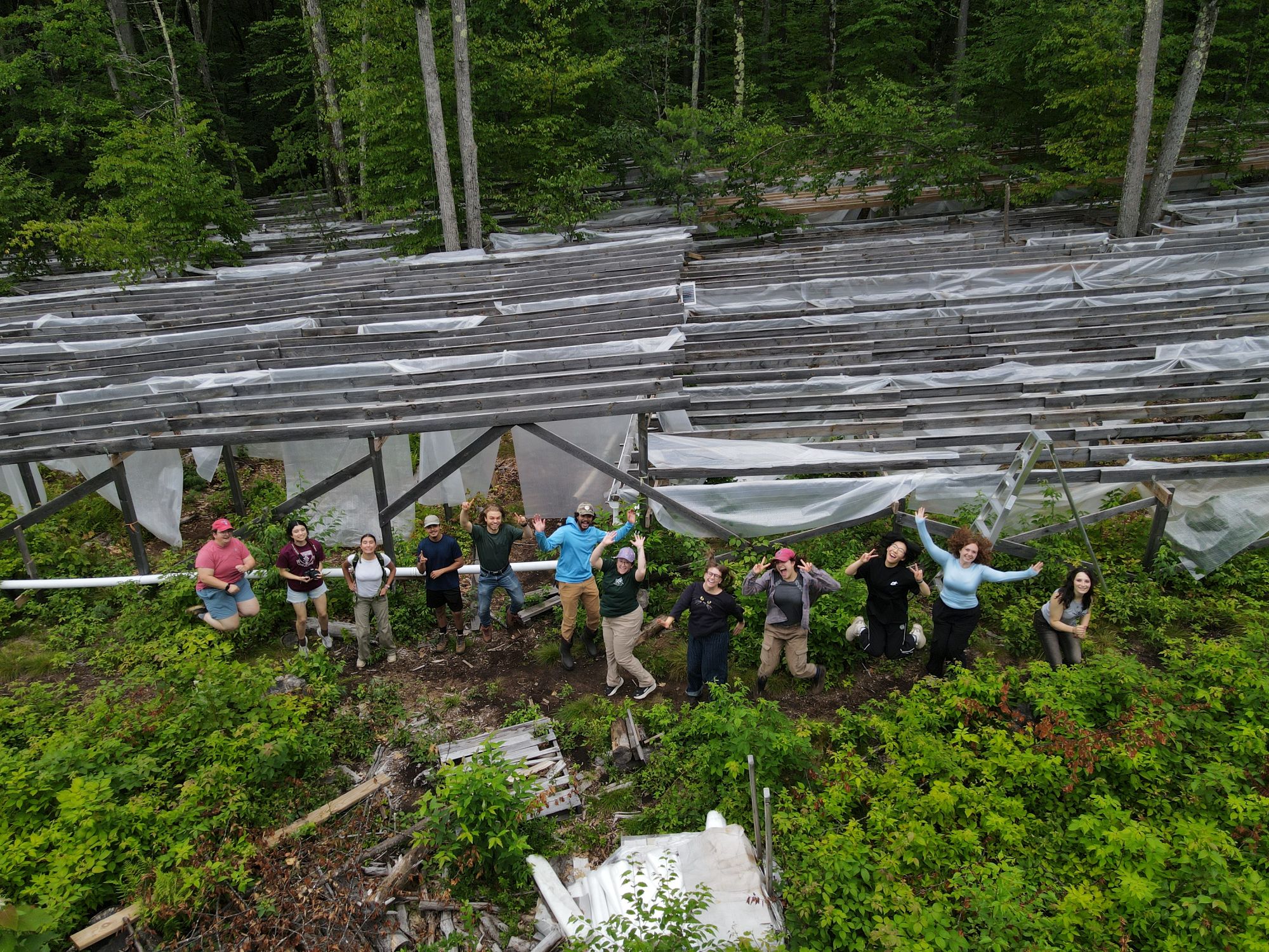 A group of students and scientists hold their arms up in front of a large experiment of wooden scaffolding and plastic in a clearing in the forest