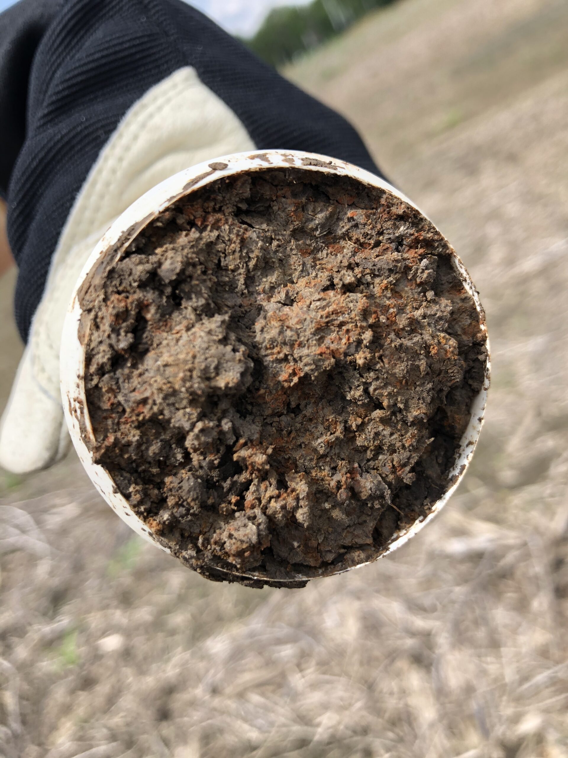 close view of a soil forest core showing different hues of red, black, and brown