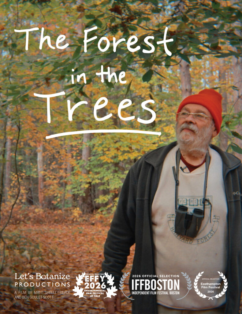 Forest in the Trees film poster shows Dr. O'Keefe walking on a path in the autumn woods with binoculars, a Harvard Forest sweatshirt, and an orange hat.